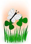 A white butterfly in a meadow of clover.