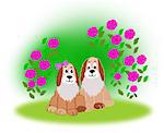 Two dogs sitting together at a rose Bush