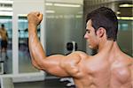 Rear view of a shirtless muscular man flexing muscles in gym