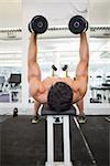 Shirtless young muscular man exercising with dumbbells in gym