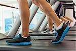 Row of people working out on treadmills at the gym