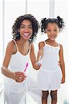 Pretty mother and daughter holding toothbrushes at home in the bathroom