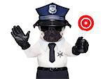 POLICE DOG ON DUTY WITH stop sign and hand , isolated on white blank background
