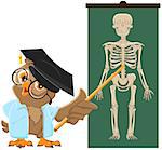 Owl teacher. Anatomy Lesson, the study of the human skeleton. Vector cartoon illustration