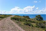 Winding tracks by the coast of Baltic Sea at the island Oland in Sweden.