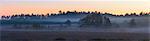 Panoramic View of Woodland and Meadows at Dawn in Mist, Dorset, England