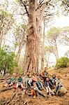 Students and teachers sitting on tree in forest