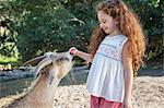 Girl feeding animal in forest