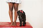 A young girl and her small black dog standing on a stool.