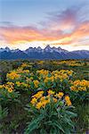 The Teton mountain range in the Grand Teton national park at sunset.