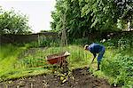 A man digging his vegetable garden, and planting young plants.