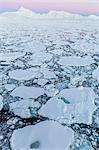 Transiting the Lemaire Channel in heavy first year sea ice, Antarctica, Polar Regions