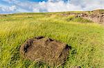 Fallen moai head at the archaeological site at Ahu Vinapu, Rapa Nui National Park, UNESCO World Heritage Site, Easter Island (Isla de Pascua), Chile, South America