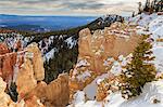 Rim edge, pine trees and snowy cliffs lit by morning sun with cloudy sky, Rainbow Point, Bryce Canyon National Park, Utah, United States of America, North America