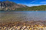 Autumn (fall) leaves on the shore of Phelps Lake, Grand Teton National Park, Wyoming, United States of America, North America