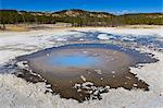 Back Basin, Norris Geyser Basin, Yellowstone National Park, UNESCO World Heritage Site, Wyoming, United States of America, North America