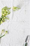 Spring flowers and trowel on linen