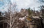 Climber on top of rock formation in mountain forest