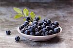 Fresh Blueberries in a Bowl