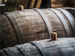 Oak barrels with wooden bungs (cork) in a cellar in the Kakheti wine region, Georgia, Caucasus