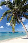 Beach scene with palm trees, blue sky and boats moored on the Indian Ocean at Trou D'eu Douce, a village on the east coast of Mauritius where tourists catch ferries to the idyllic island of Ile Aux Cerfs, Mauritius, Indian Ocean, Africa