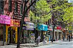 Storefronts on MacDougal Street, Greenwich Village, New York City, New York, USA