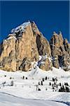 Passo Gardena and Sella Group, Val Gardena, Bolzano District, Trentino Alto Adige, Dolomites, Italy