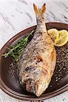 Grilled sea bream fish on plate with rosemary herb and lemon. Luxurious mediterranean seafood concept.