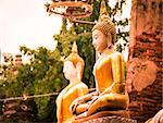 Seated buddha in Wat Phu Khao Thong temple. Ayutthaya,Thailand.