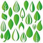 Set of various vector green leaves design elements