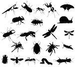 Collection of silhouettes of different species of insects