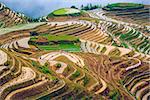 Village of Longsheng in Guangxi Province, China.