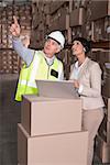 Warehouse worker and manager using laptop in a large warehouse