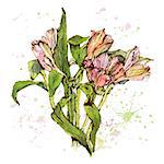 Flowers. Drawing watercolor and ink.Vector illustration.