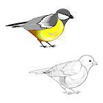 A titmouse isolated on a white background. Colorful and monochrome versions. Vector-art illustration
