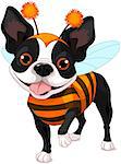 Boston terrier dressed-up like bee for Halloween