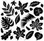 Leaves silhouettes collection 1 - eps10 vector illustration.