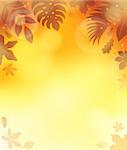 Leaves theme background 3 - eps10 vector illustration.