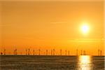 Offshore Wind Farm at Sunset, near Barrow-in-Furness, Cumbria, England