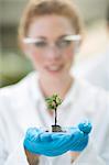 Portrait of female scientist holding up plant sample in poly tunnel