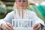 Female scientist holding up plant samples in test tubes