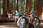 Two women mountain bikers chatting on tree trunk in forest