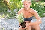 Woman planting lavender in garden, Stockholm, Sweden