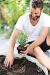 Man planting lavender in garden, Stockholm, Sweden