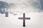 Graveyard in winter fog