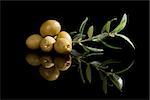 Green olives with olive branch isolated on black background. Culinary traditional appetizer.