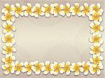 White plumeria, frangipani flowers frame on abstract background.