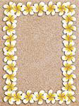 Floral frame made from white plumeria, frangipani flowers on sand.