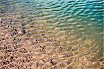 transparent and pure water of the Colbricon lake, Dolomites - Italy