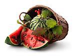 Watermelon and guelder in a basket isolated on white